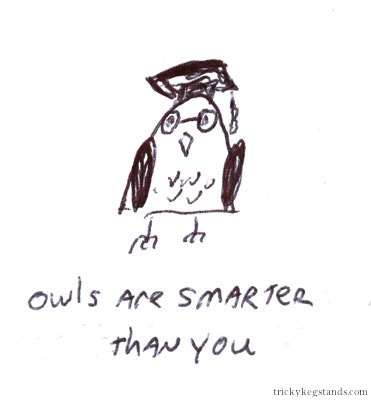 Owls are smarter than you.